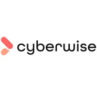 Cyberwise logo - Similar company to Dozn