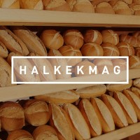 HALKEKMAG logo - Similar company to Artmakers3D