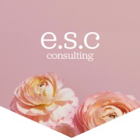 emily sara cohen consulting logo - Similar company to Bouncebye