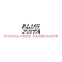 Blue Zeta Enterprises LLC logo - Similar company to Wickham Financial & Insurance Services