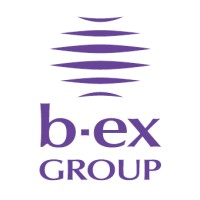 b-ex GROUP Pte. Ltd. logo - Similar company to 株式会社Mint Town
