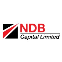 NDB Capital Limited logo - Similar company to Networld Bangladesh Plc