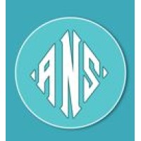 An Noor Solutions logo - Similar company to Paint Technology Solutions Ltd