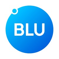BLU MONDO logo - Similar company to Me Info System Llc