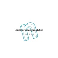Noe Immobilier Troyes et Mery Sur Seine logo - Similar company to Caig Immobilier