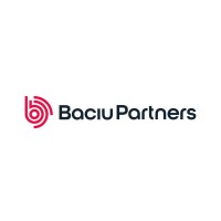 BACIU PARTNERS logo - Similar company to Simion Advisory Partners