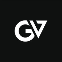 Geeky Vision logo - Similar company to Insyble Tech
