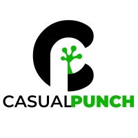Casual Punch Game Studios Pvt. Ltd. logo - Similar company to Tuttifrutti Interactive