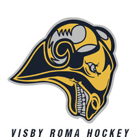 Visby Roma Hockey logo - Similar company to Werkelinbolagen