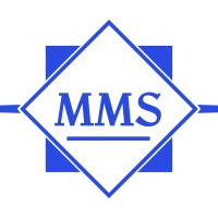 Magna Management Services logo - Similar company to Acumen For Business Leaders