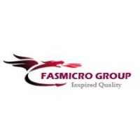 FASMICRO Group logo - Similar company to Egoras
