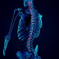 Emerald Coast Chiropractic