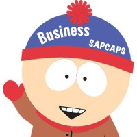 SAPCAPS Business logo - Similar company to Tdev Software Consulting