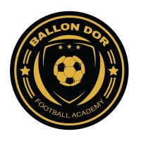 Ballon Dor Football Academy logo - Similar company to Infinit3Solutions