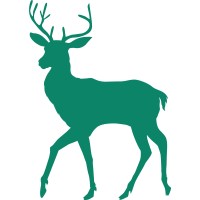 CANBURY SCHOOL LIMITED logo - Similar company to Cranford School