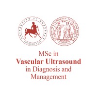 MSc Vascular Ultrasound in Diagnosis and Management, UTh logo - Similar company to Project-Minoas