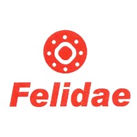 Felidae Infosec Pvt Ltd logo - Similar company to Bharath Finnovation Llp