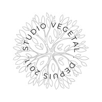 Studio Vegetal logo - Similar company to Heyday Studio