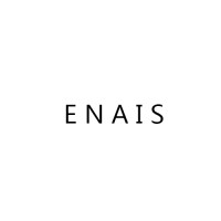 ENAIS logo - Similar company to Audio Electronics Inc.