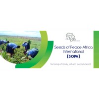 Seeds Of Peace Africa (SOPA) International logo - Similar company to Dignity Partnership