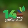 Geoflorestas logo - Similar company to Topografia, Geoprocessamento E Atividades Florestais.