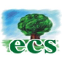 Expert Consulting Services
