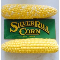 Silver Rill Corn