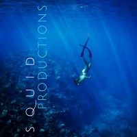 Squid Productions logo - Similar company to Dtm Tourism