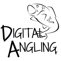 Digital Angling logo - Similar company to Insightz