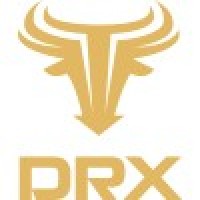 DRX Careers logo - Similar company to Parking+