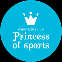 Princess of sports logo - Similar company to Silverine Inc