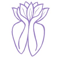 Lotus Initiative logo - Similar company to Fundevolve
