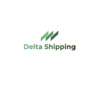 Delta Shipping logo - Similar company to Premier Express