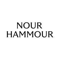 Nour Hammour logo - Similar company to Axla Studio