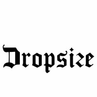 Dropsize GmbH logo - Similar company to Mlky.Store