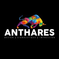 ANTHARES DSI logo - Similar company to Technitub