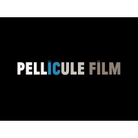 Pellicule Film logo - Similar company to Love Media