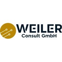 WeilerConsult | Power BI Sparring für Controller, die mehr wollen logo - Similar company to The Analytics Experience
