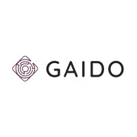 Gaido logo - Similar company to Baseworx