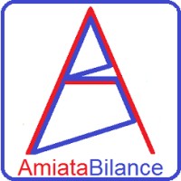 AMIATA BILANCE di Isolica Massimo logo - Similar company to Bottaro Bilance