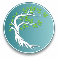 Ripplewood Professional Services Ltd. logo - Similar company to Advanced Biocarbon 3D