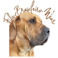 Fila Brasileiro Wear logo - Similar company to Umbrella Wear