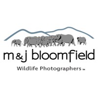 M&J Bloomfield