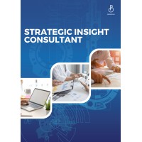 Strategic Insight Consultant logo - Similar company to Datadriven Matrix Analytics
