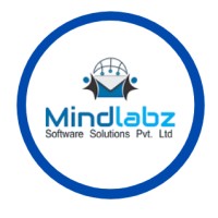 Mindlabz Software Solutions Pvt.Ltd logo - Similar company to Pluto Consulting