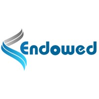 ENDOWED SOLUTIONS logo - Similar company to Dynamicson