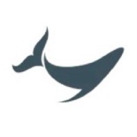 Five Star Whale Watching
