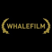 Whalefilm Inc. | Design & Build logo - Similar company to Jet Sets
