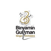 Binyamin Guttman Music logo - Similar company to Bitwise Mnm Inc.