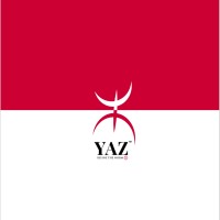 Yaz Europe logo - Similar company to Lsesu Eastern European Society